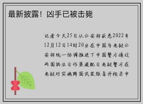 最新披露！凶手已被击毙