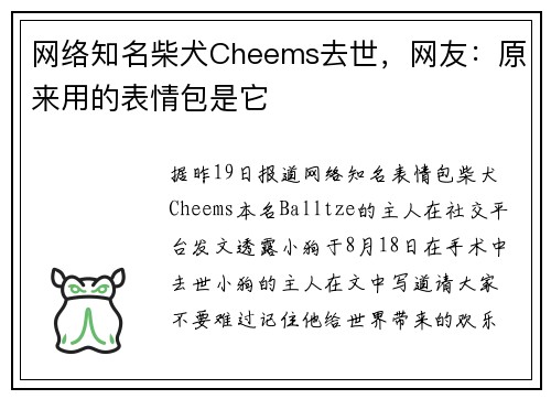 网络知名柴犬Cheems去世，网友：原来用的表情包是它