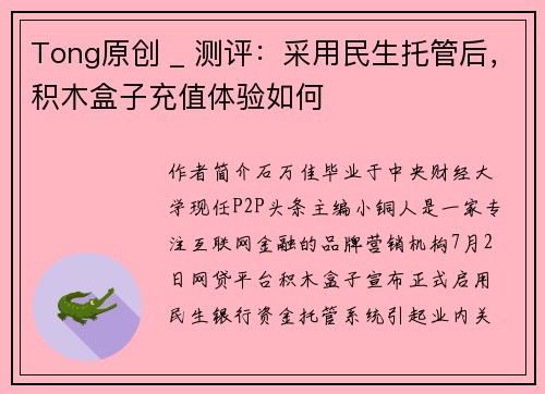 Tong原创 _ 测评：采用民生托管后，积木盒子充值体验如何