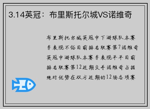 3.14英冠：布里斯托尔城VS诺维奇