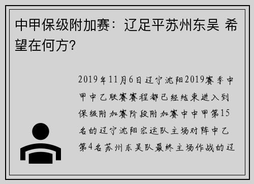 中甲保级附加赛：辽足平苏州东吴 希望在何方？