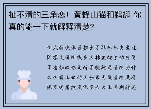 扯不清的三角恋！黄蜂山猫和鹈鹕 你真的能一下就解释清楚？