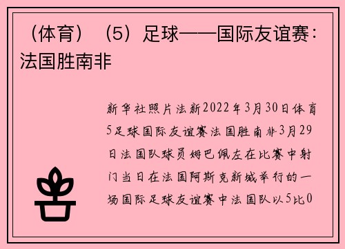 （体育）（5）足球——国际友谊赛：法国胜南非